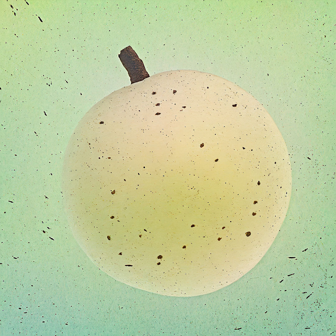 Baumpatenschaft | Birnbaum | Nashi