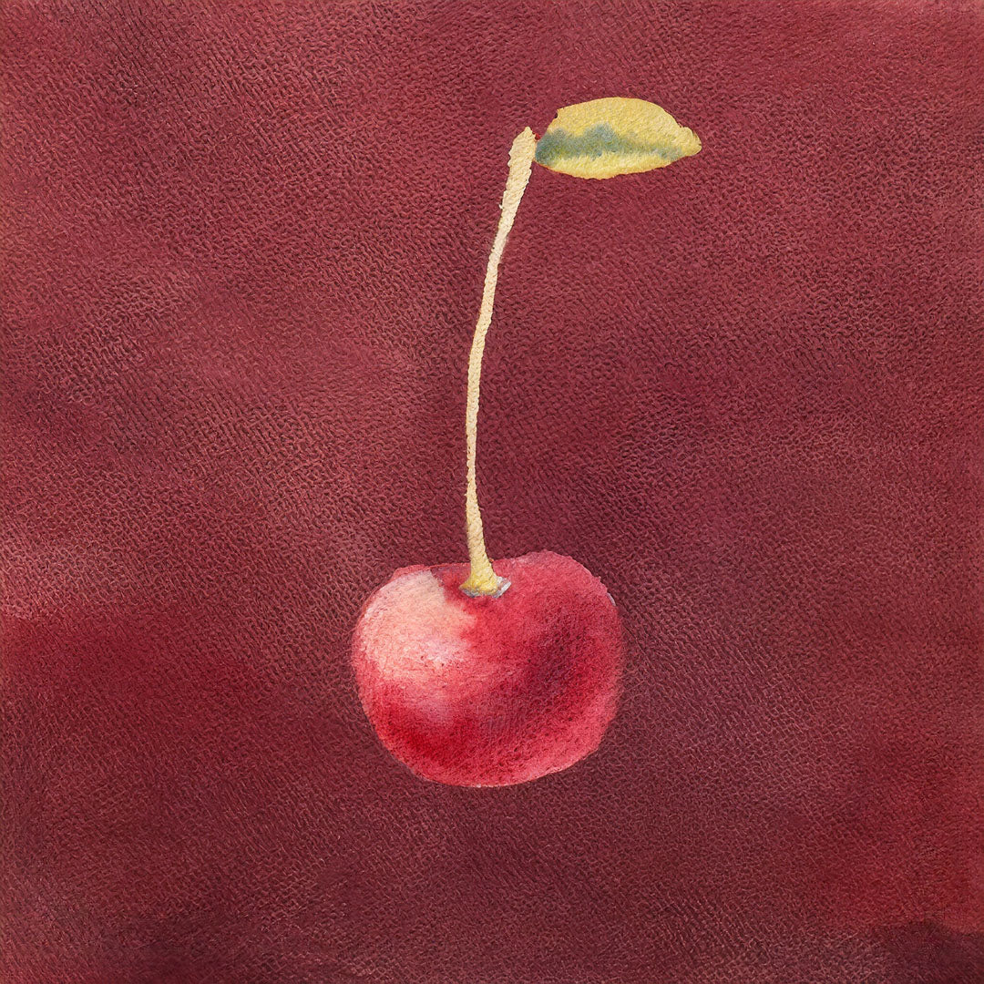 Baumpatenschaft | Kirschbaum | Sauerkirsche | Schattenmorelle