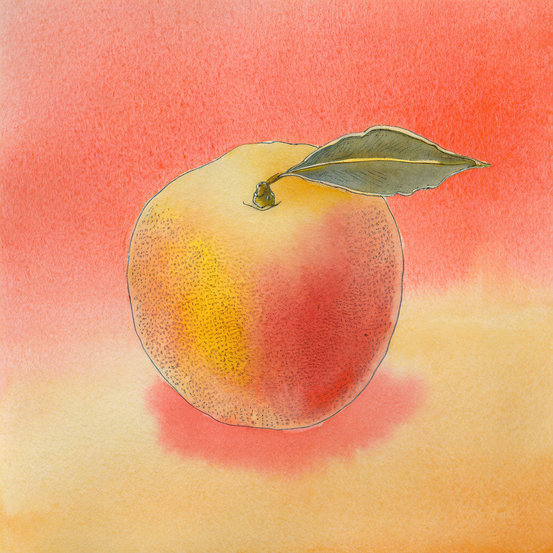 Baumpatenschaft | Pfirsichbaum |