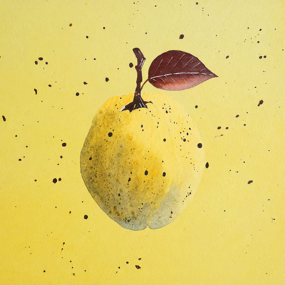 Tree sponsorship | Quince tree |