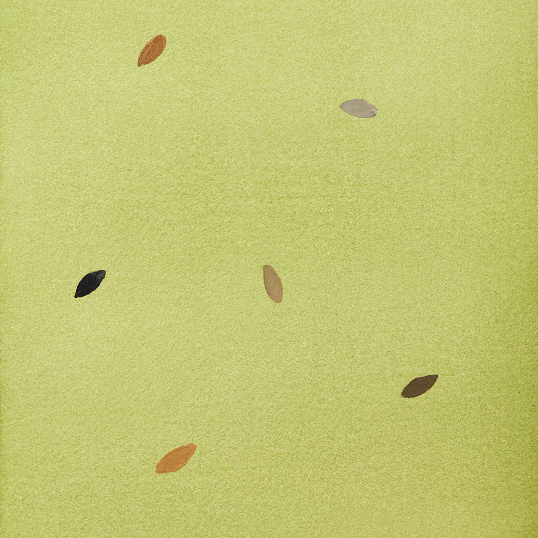 Baumpatenschaft | Olivenbaum |