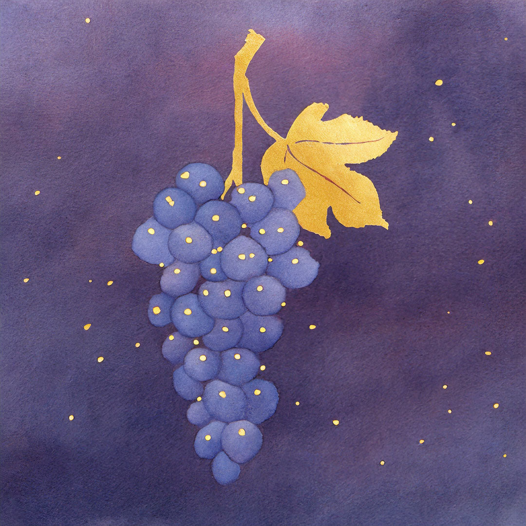 Rebenpatenschaft |Weinrebe | Rot