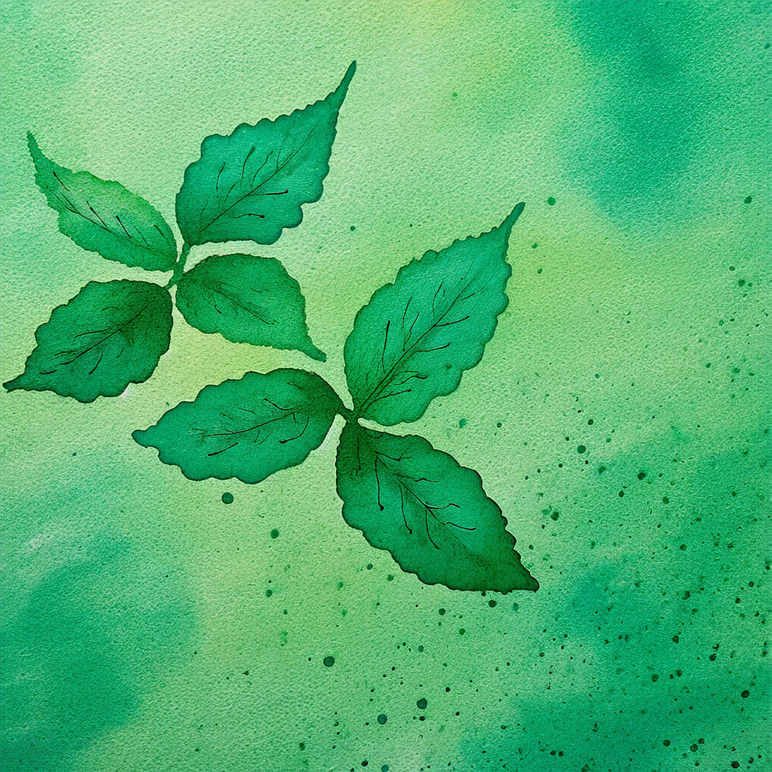 Teepatenschaft | 1m x 1m Minze | Pfefferminze