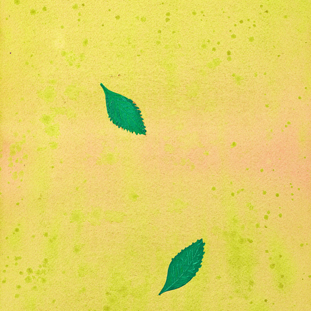 Teepatenschaft | 1m x 1m Minze | Bananenminze
