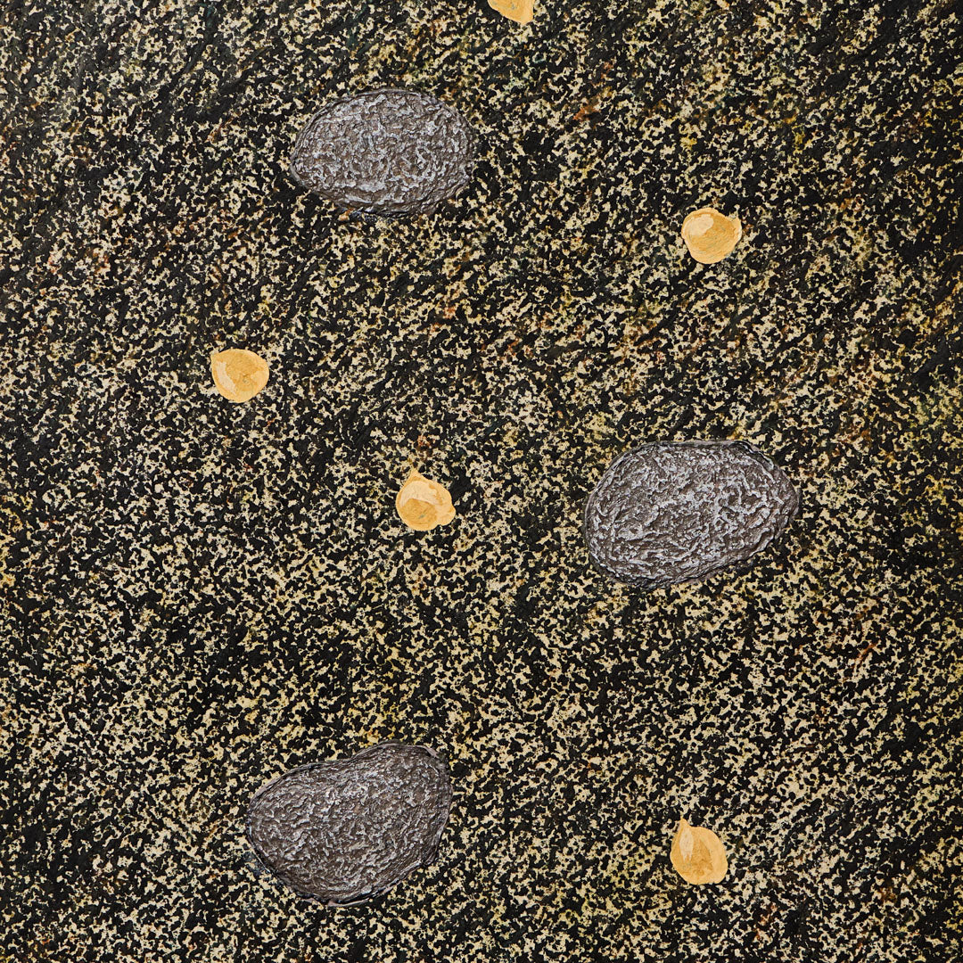 Baumpatenschaft 02 | Trüffel | Périgord Schwarz | Tuber Melanosporum