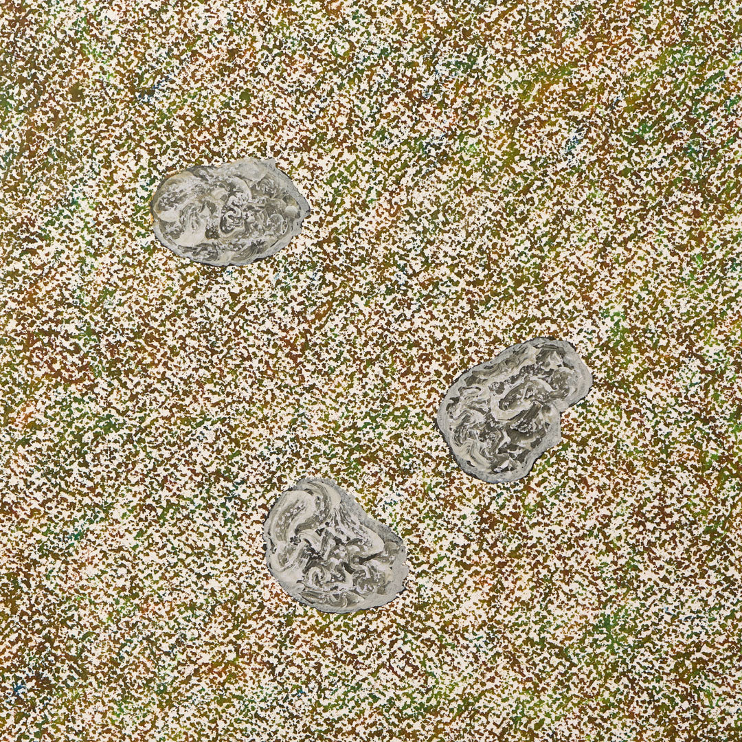 Baumpatenschaft 03 | Trüffel |Weiß | Tuber Magnatum