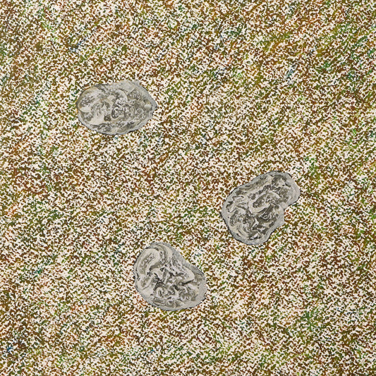 樹木贊助 03 | 松露 | 白松露 | 塊莖松露