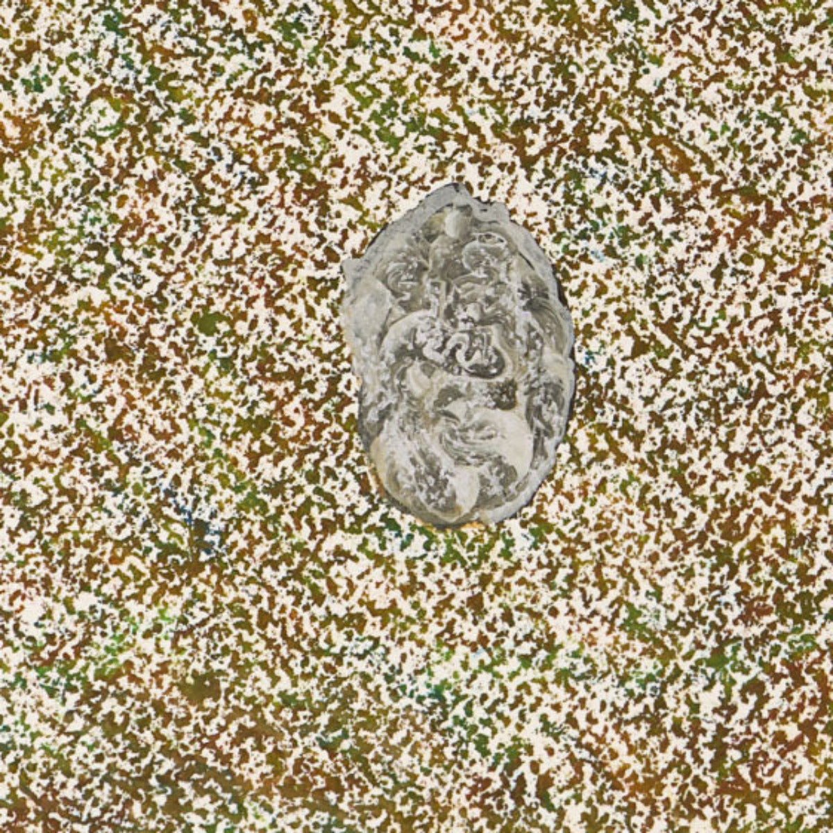 Baumpatenschaft 04 | Trüffel | Weiß | Tuber borchii | Frühlingstrüffel