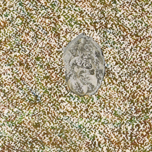 Baumpatenschaft 04 | Trüffel | Weiß | Tuber borchii | Frühlingstrüffel