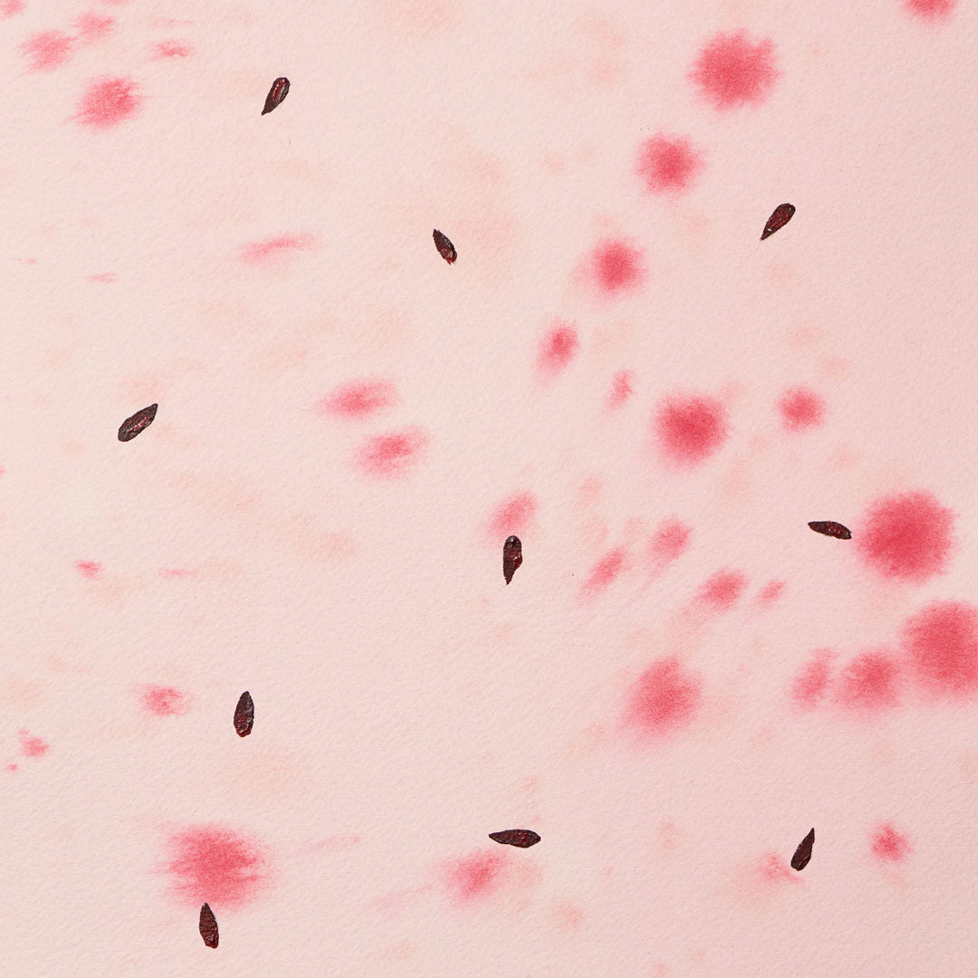 Baumpatenschaft | Apfelbaum | Rotfleischig