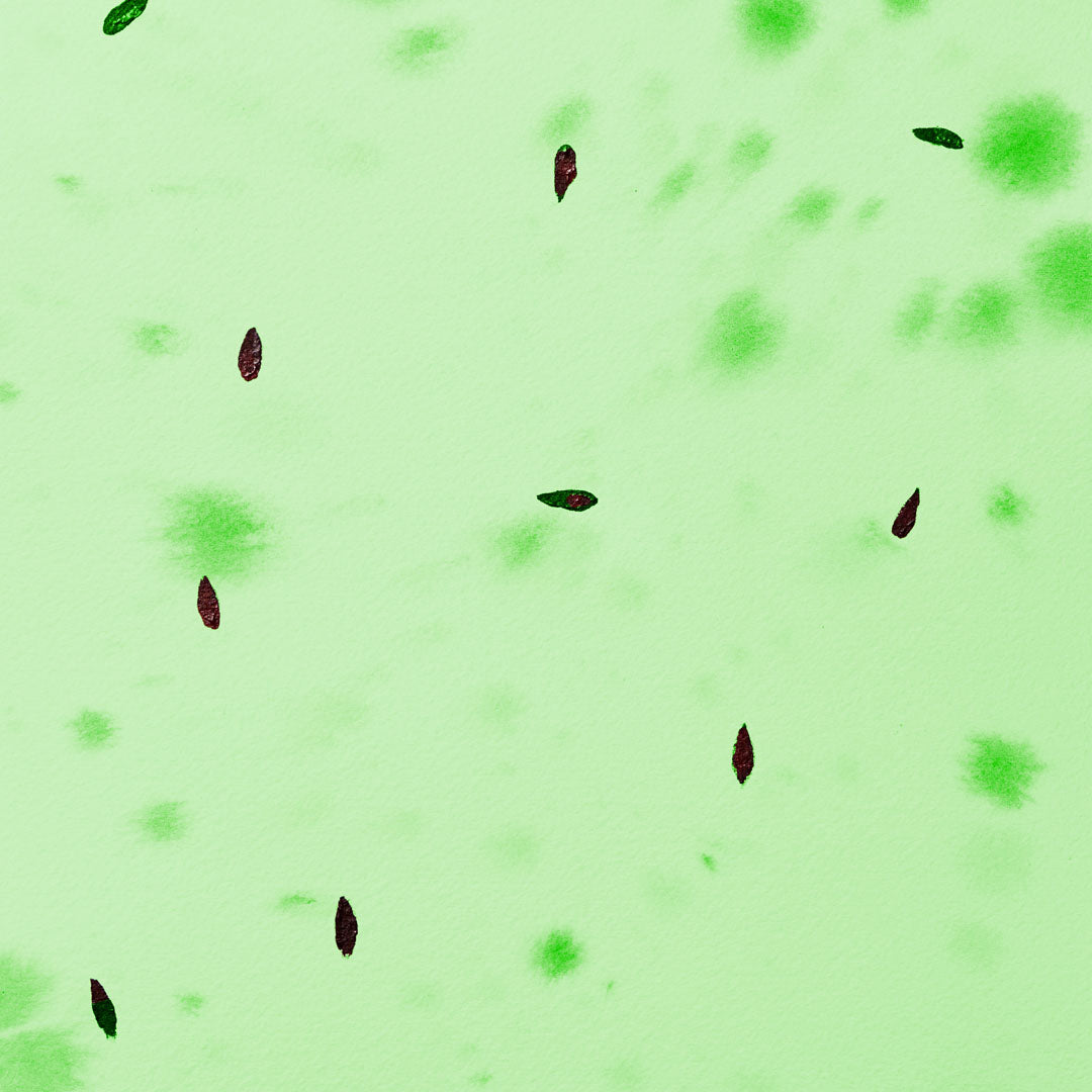 Baumpatenschaft | Apfelbaum | Divers & Grünschalig