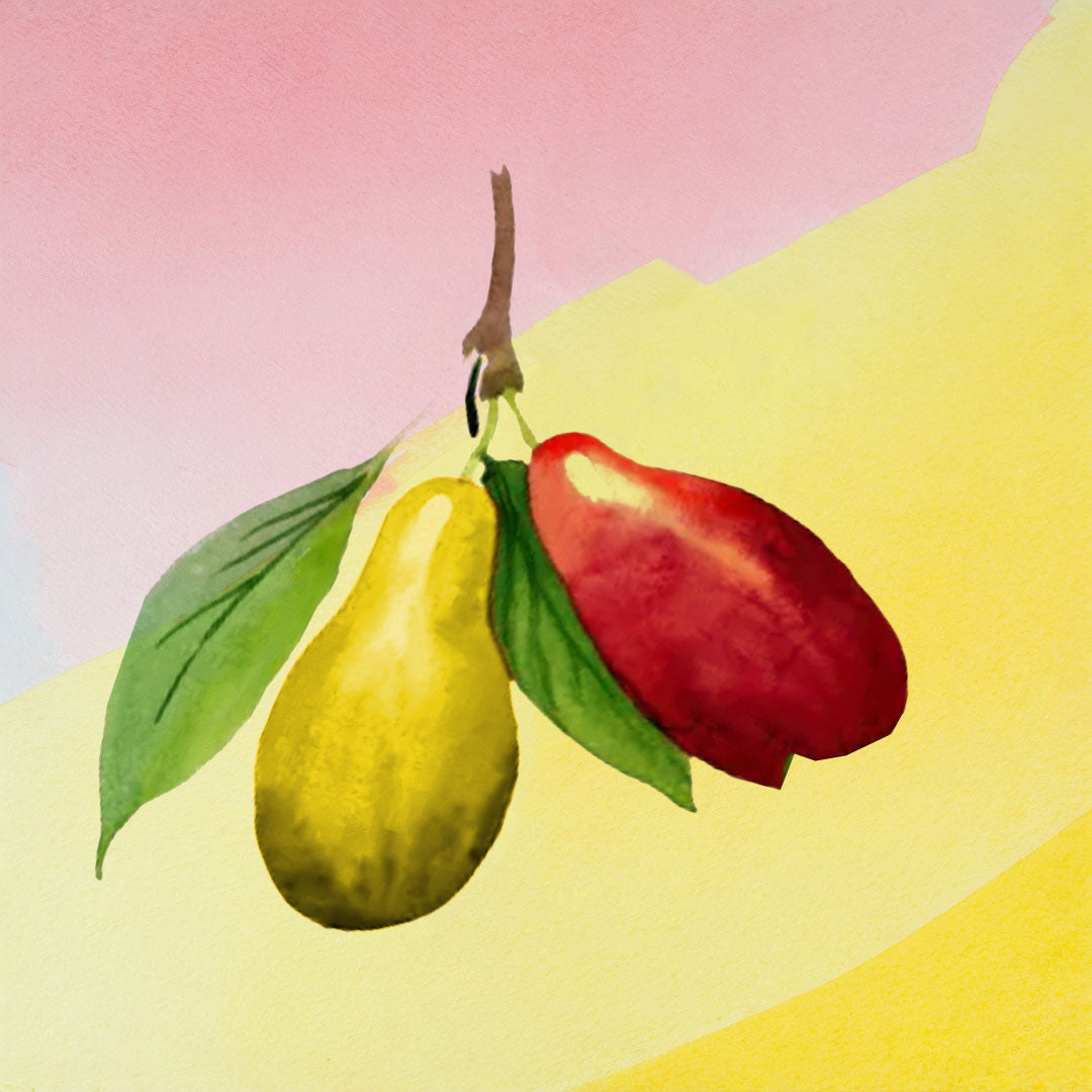 Baumpatenschaft | Kirschbaum | Kornellkirsche