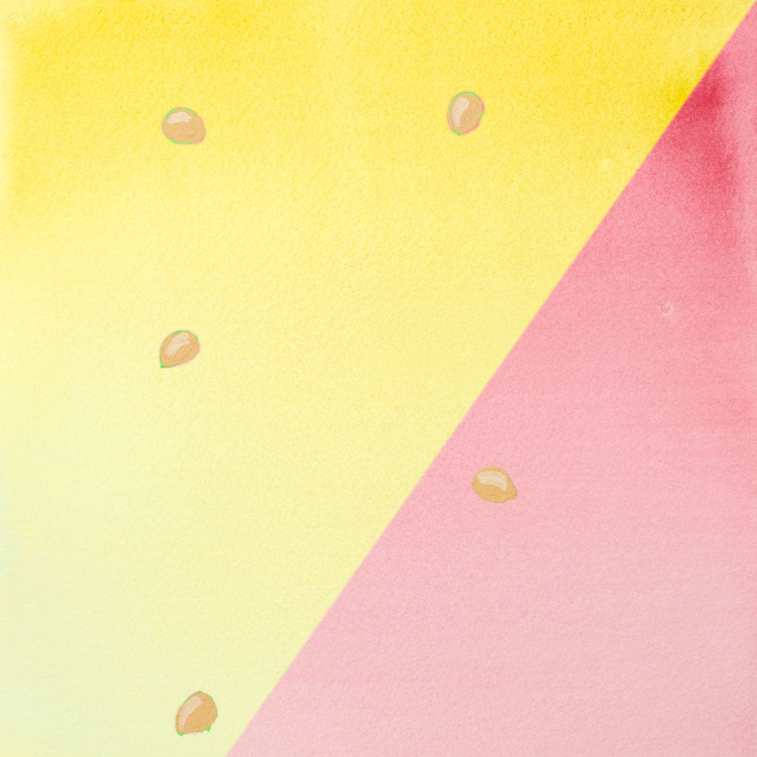 Baumpatenschaft | Kirschbaum | Kornellkirsche