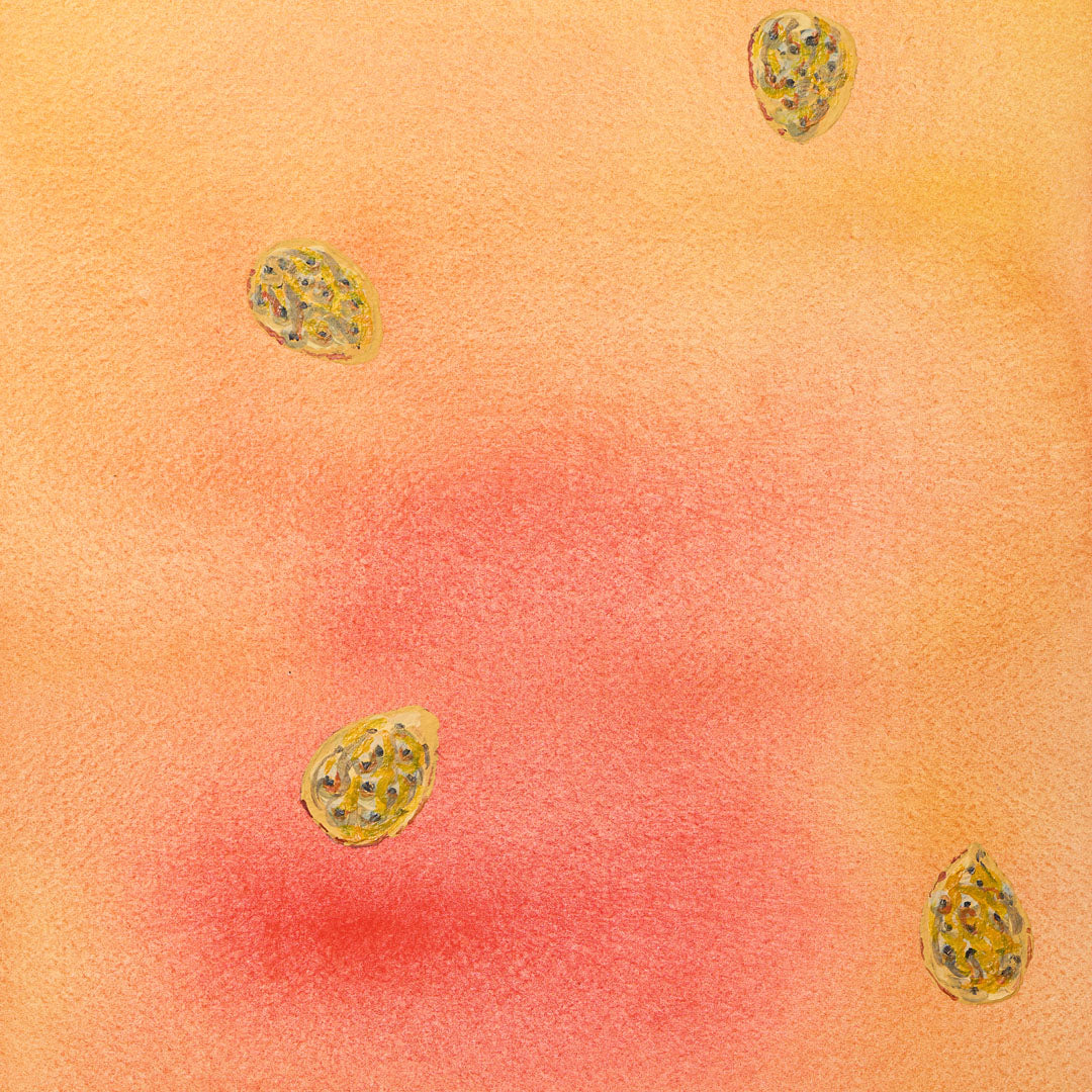 Baumpatenschaft | Pfirsichbaum |