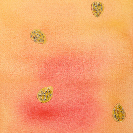 Baumpatenschaft | Pfirsichbaum |