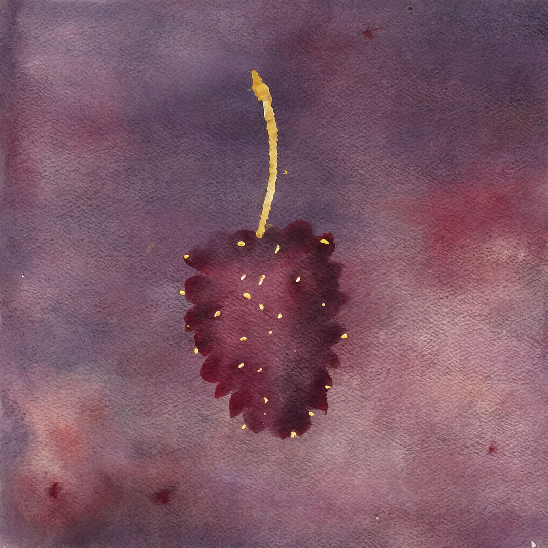 Baumpatenschaft | Maulbeerbaum |