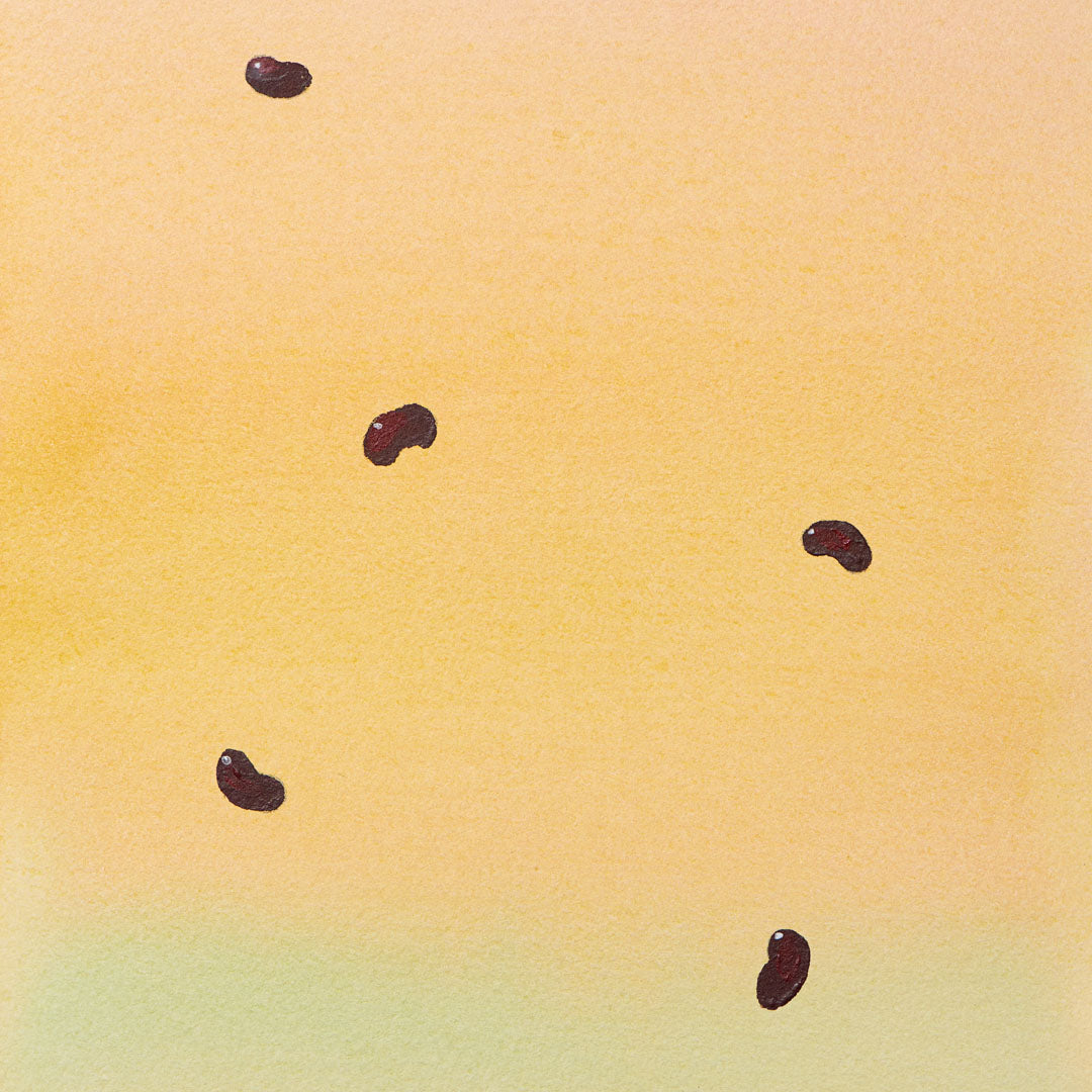 Baumpatenschaft | Paw-Paw Baum |