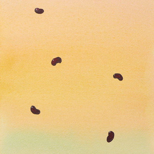 Baumpatenschaft | Paw-Paw Baum |