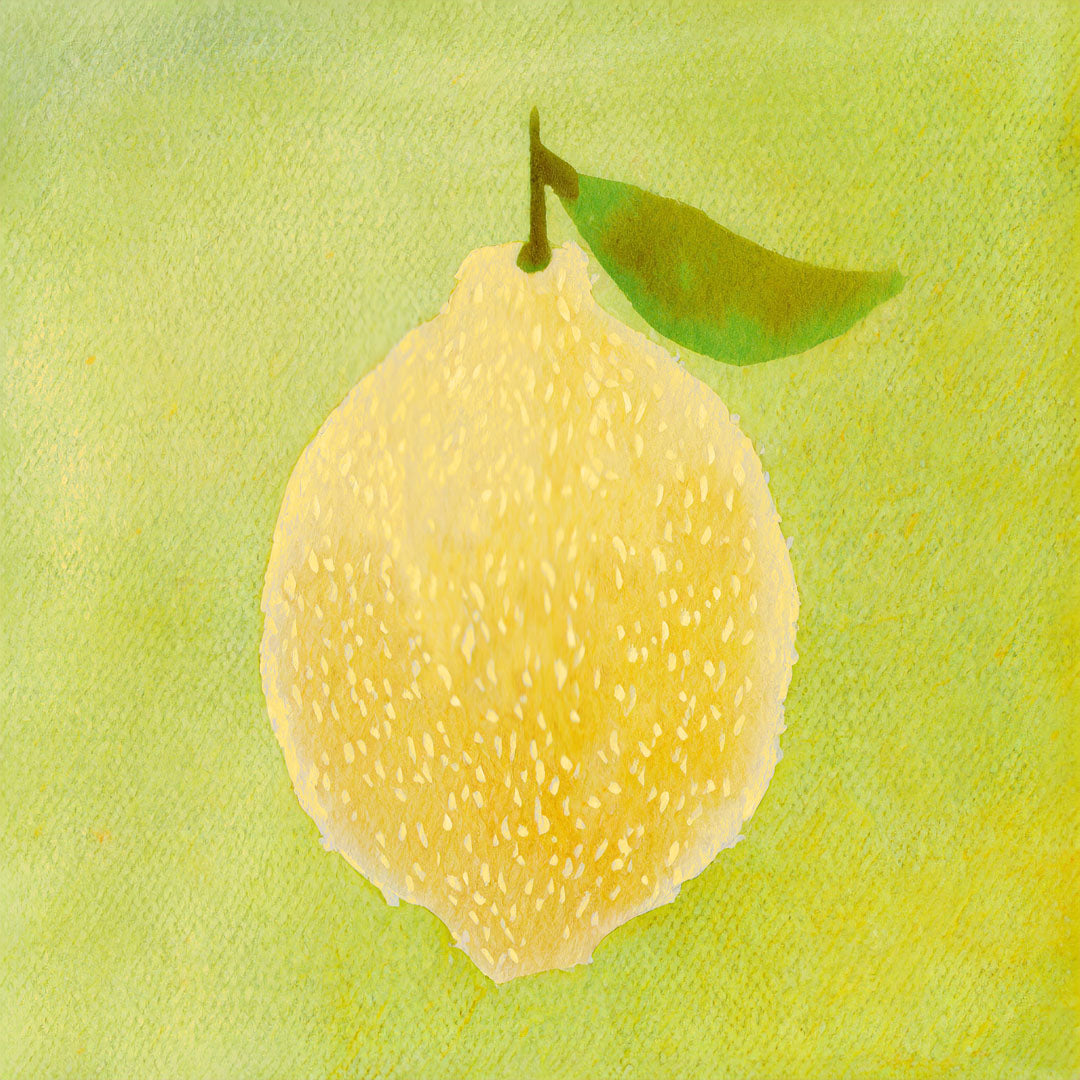 Baumpatenschaft | Meyer Zitronenbaum |