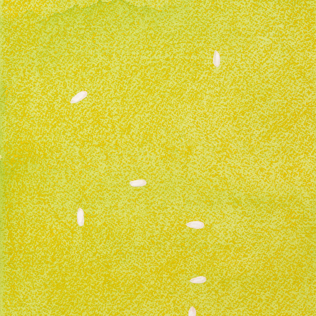 Baumpatenschaft | Meyer Zitronenbaum |