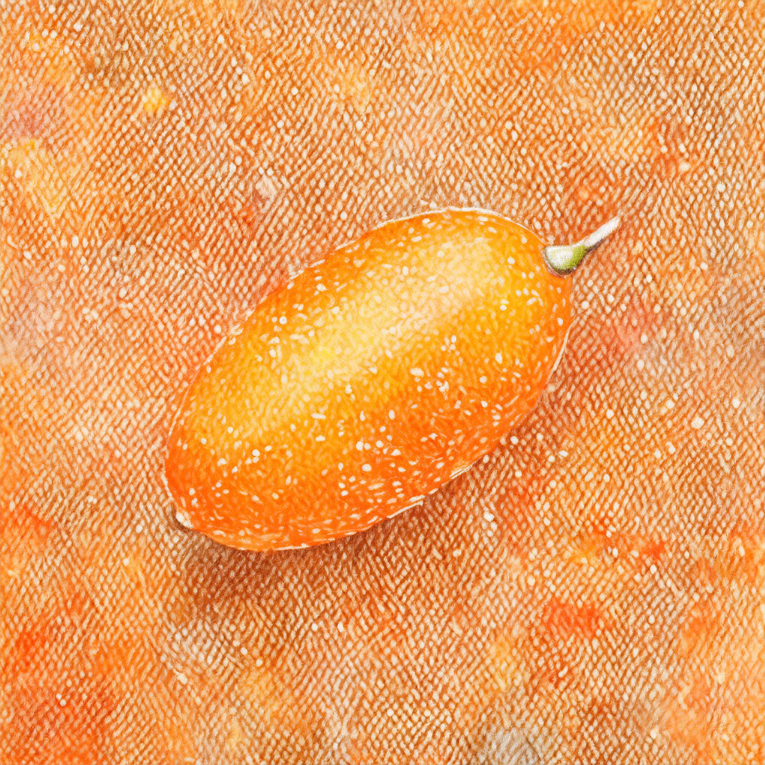 Baumpatenschaft | Kumquat Baum |