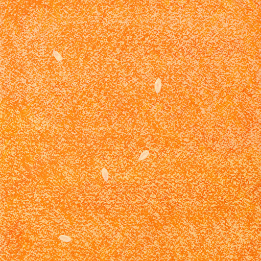 Baumpatenschaft | Kumquat Baum |