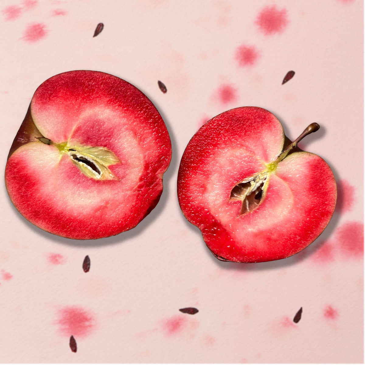 Baumpatenschaft | Apfelbaum | Rotfleischig