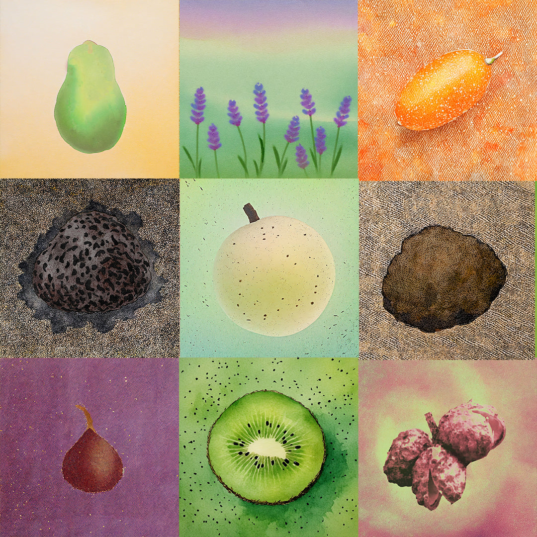 FUNKY GARDEN | 9xPatenschaft |